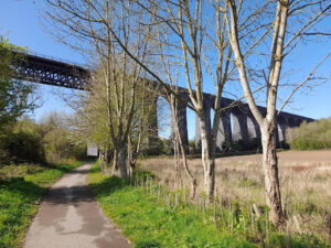The Viaduct at the River Don