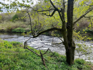 Tame Valley