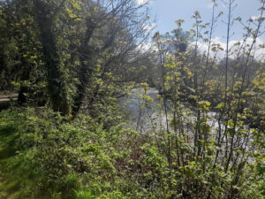 River Mersey and views around the Tame Valley